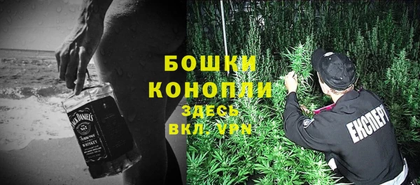 mdpv Вяземский