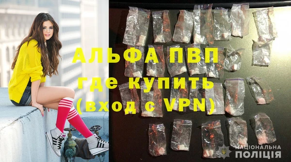 ПСИЛОЦИБИНОВЫЕ ГРИБЫ Володарск