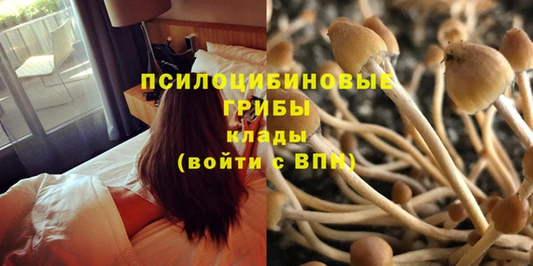 бошки Волоколамск