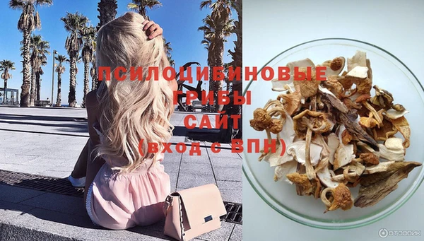 прущие грибы Бородино