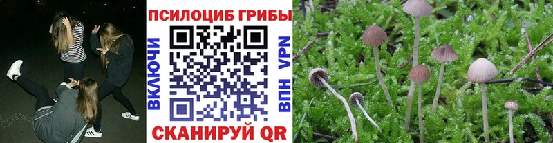 Галлюциногенные грибы ЛСД  Заволжье 